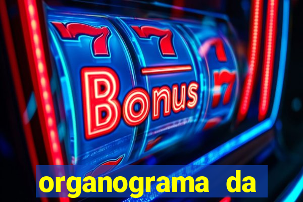 organograma da cacau show